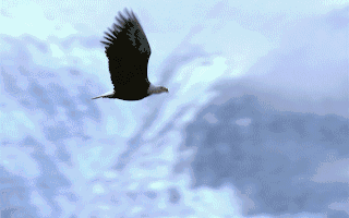 公司动态研究报告：机器人新业务稳步推进布局越南全品类产能